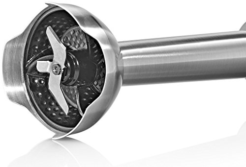 Bosch MSM881X2 - Licuadora manual, 800 W, 12 velodidades, 220-240 V, acero inoxidable, color negro y gris