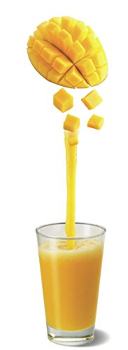 Moulinex Faciclick Cristal LM310E10 Batidora de vaso con potencia de 500 W regulables a través de dos velocidades, vaso de cristal de 1.25 litros, permite picar hielo, pies de goma antideslizantes